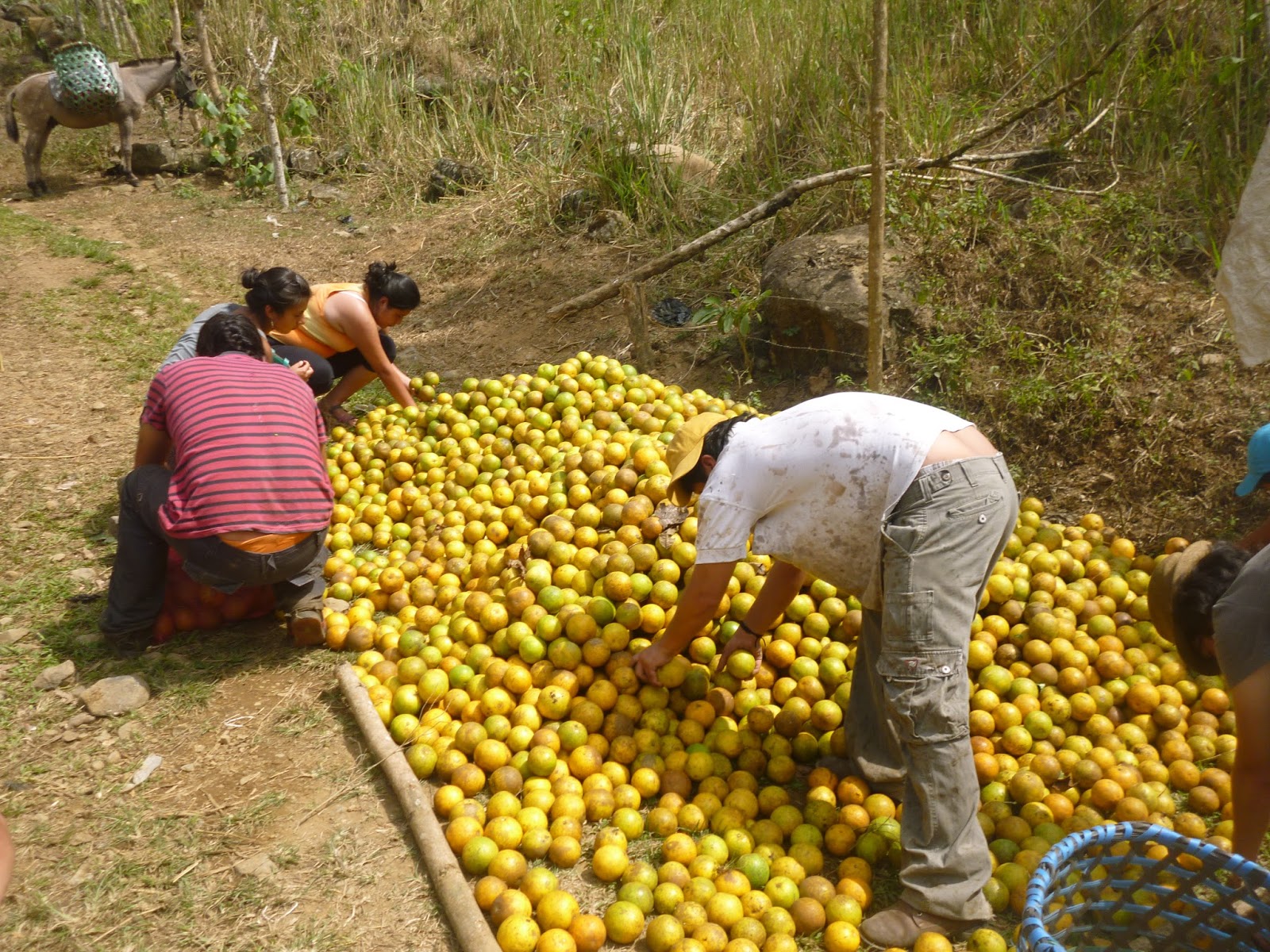 Camino del Supay: Compartiendo
