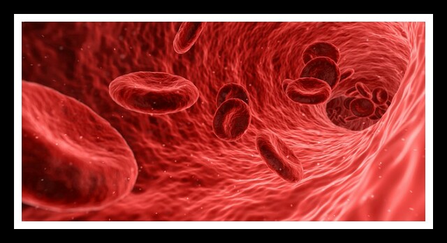 BLOOD,RED BLOOD CELL,HUMAN BLOOD. 
