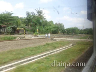 pemandangan dari atas kereta api