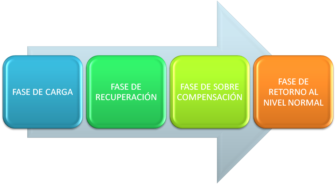 ENTRENAMIENTO DEPORTIVO CONCEPTOS FUNDAMENTALES DE LA TEORÍA DEL ENTRENAMIENTO ENTRENAMIENTO DEPORTIVO CONCEPTOS FUNDAMENTALES DE LA TEORÍA DEL ENTRENAMIENTO