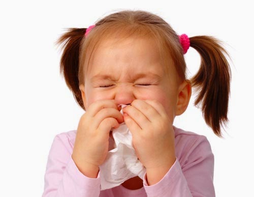 Tips Mengatasi Flu dan Pilek  INFO KESEHATAN