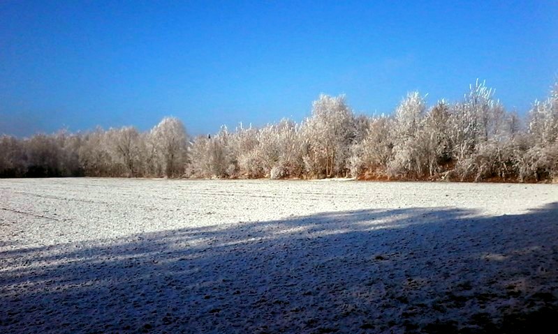 Ehe Familie Und Scheidung Eltern Sein Familien Bleiben Januar