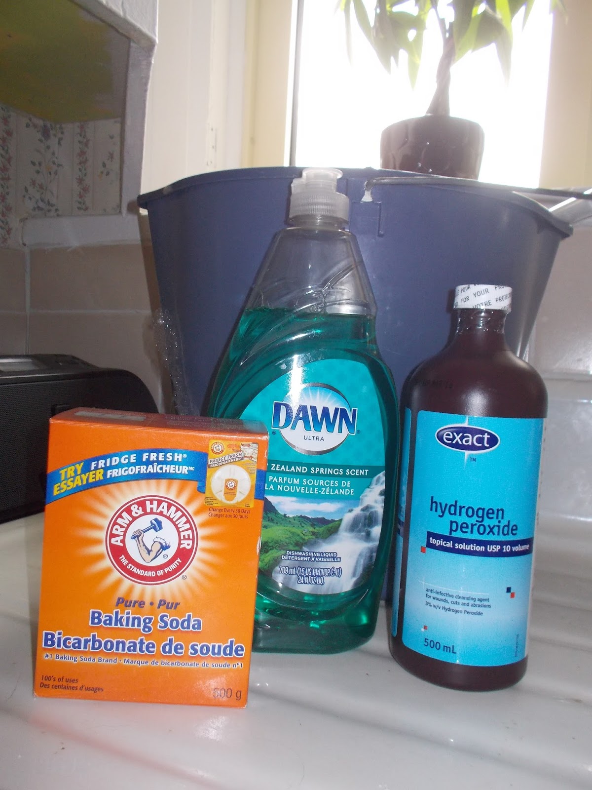 The Life of Miss Kneesh DIY Couch DeepClean