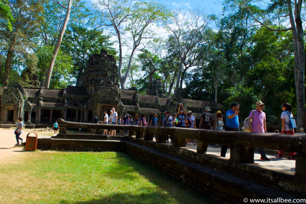Tips for exploring Ta Prohm, Cambodia's famous temple aka The "Tomb Raider" Temple. Pictures to illustrate why this is a must see temple in Siem Reap.