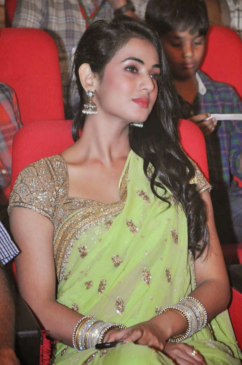 Sonal Chauhan hot in Saree HD Wallpapers 2014 | Salman Khan HD ...