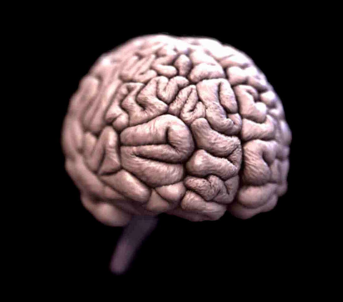 More brains. Мозг удивительный орган. Наука мозг. Мозг в одном носочке.