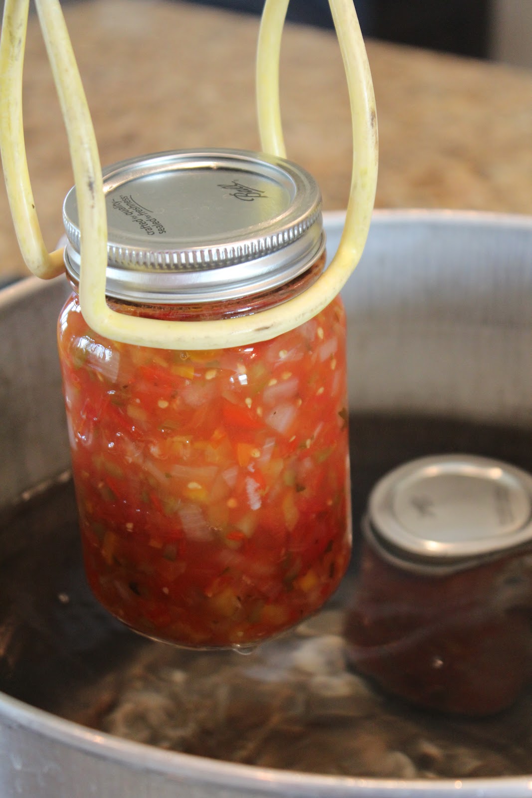 Canned Pico De Gallo