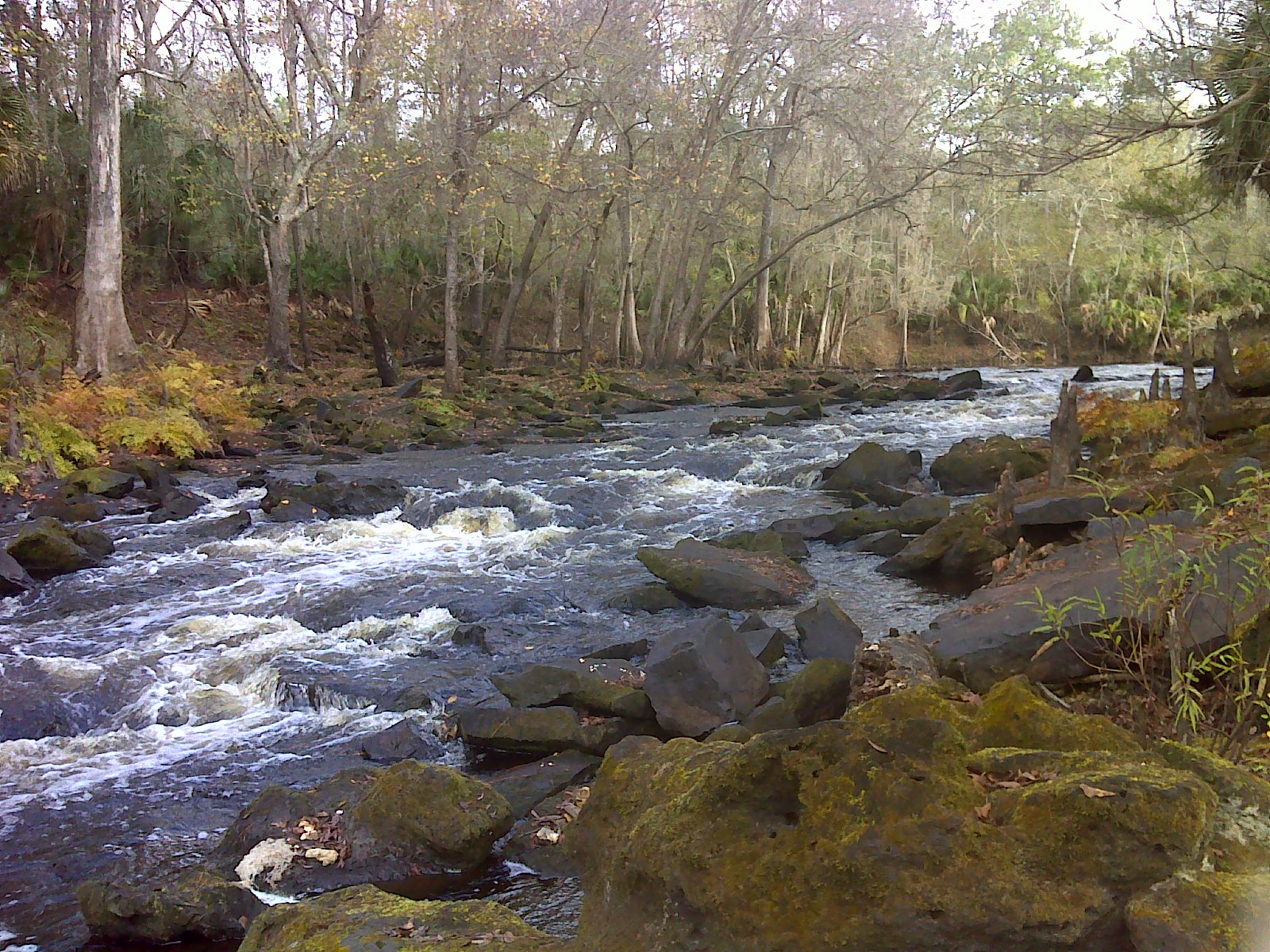 Heart and Sole The Aucilla River the odds and ends