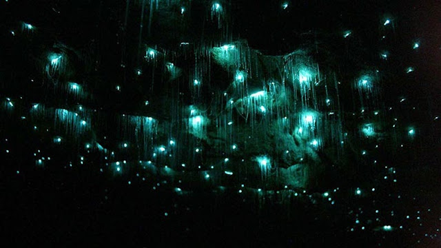 Luciérnagas cueva de Nueva Zelanda  cielo noche estrellada