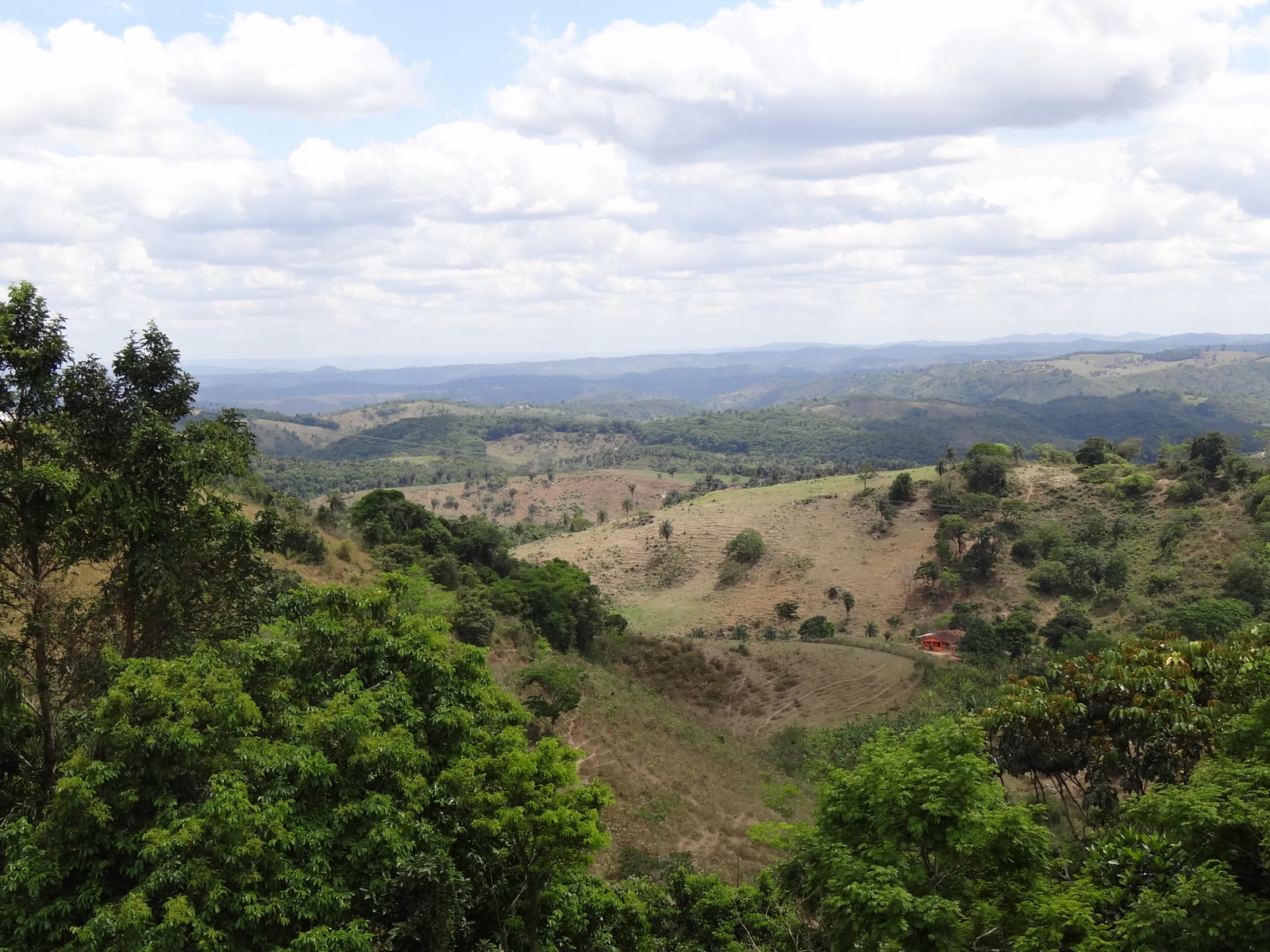 diasemprevisão janeiro 2012