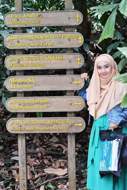 Taman Eco Rimba - Hutan Simpan Bukit Nanas Kuala Lumpur