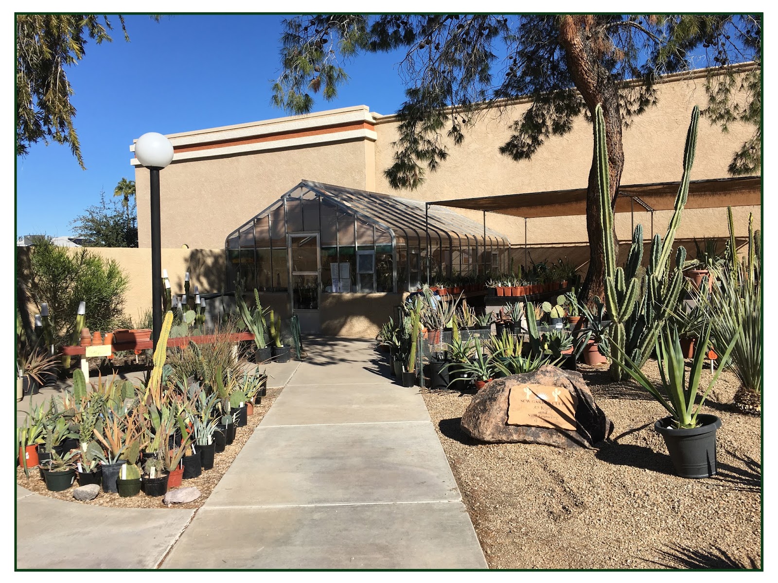 Over The Garden Gate Sun City West AZ Garden Club Plant Sale