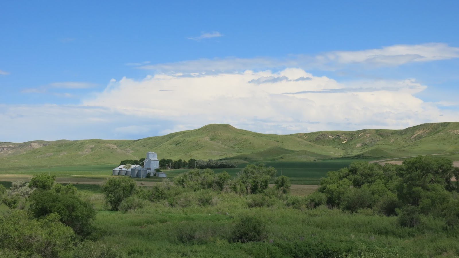 Geared Steam Along the old Milwaukee RoadRed Coulee Trestle and