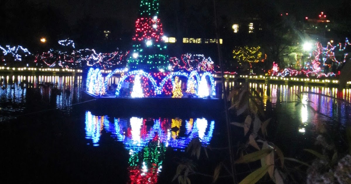 Cincinnati Zoo Festival Of Lights Hours - 27 How to Plan a Wedding Step by Step