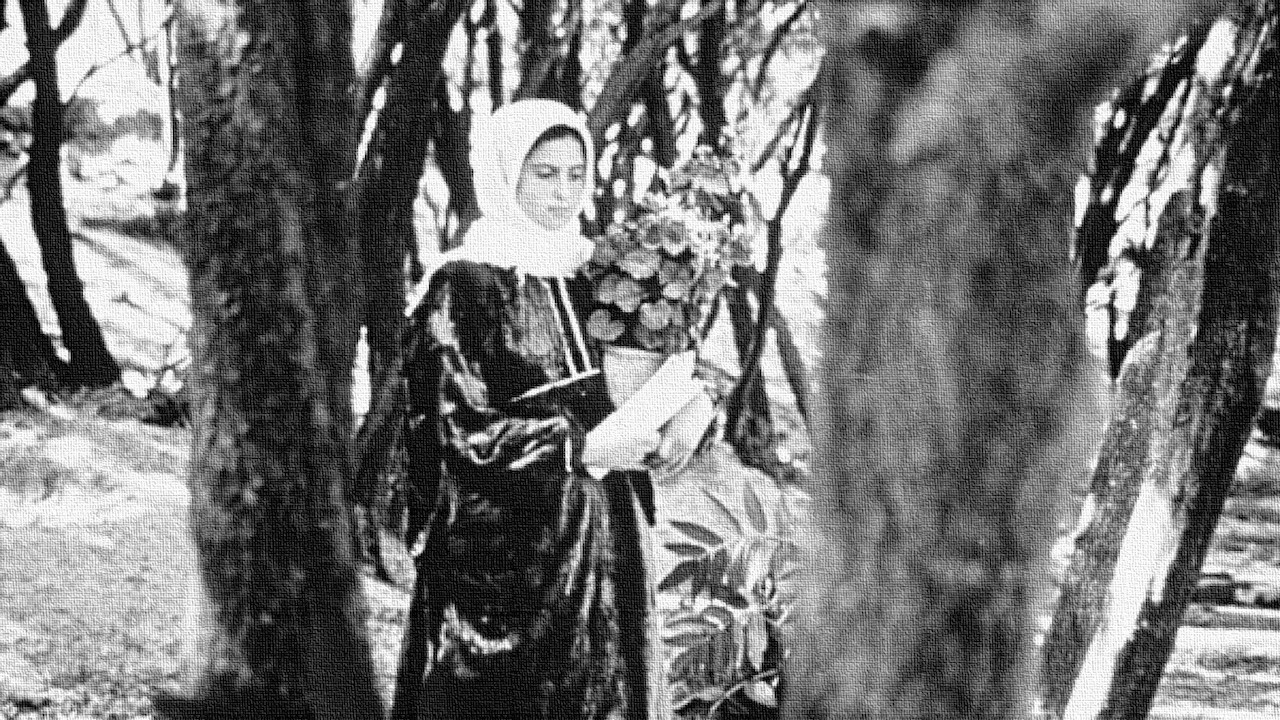 オリーブの林をぬけて:映画感想