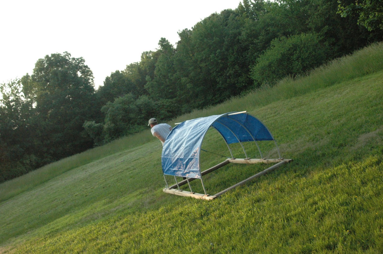 Green Legacy Farm: A Special Visit and I Actually Design Something