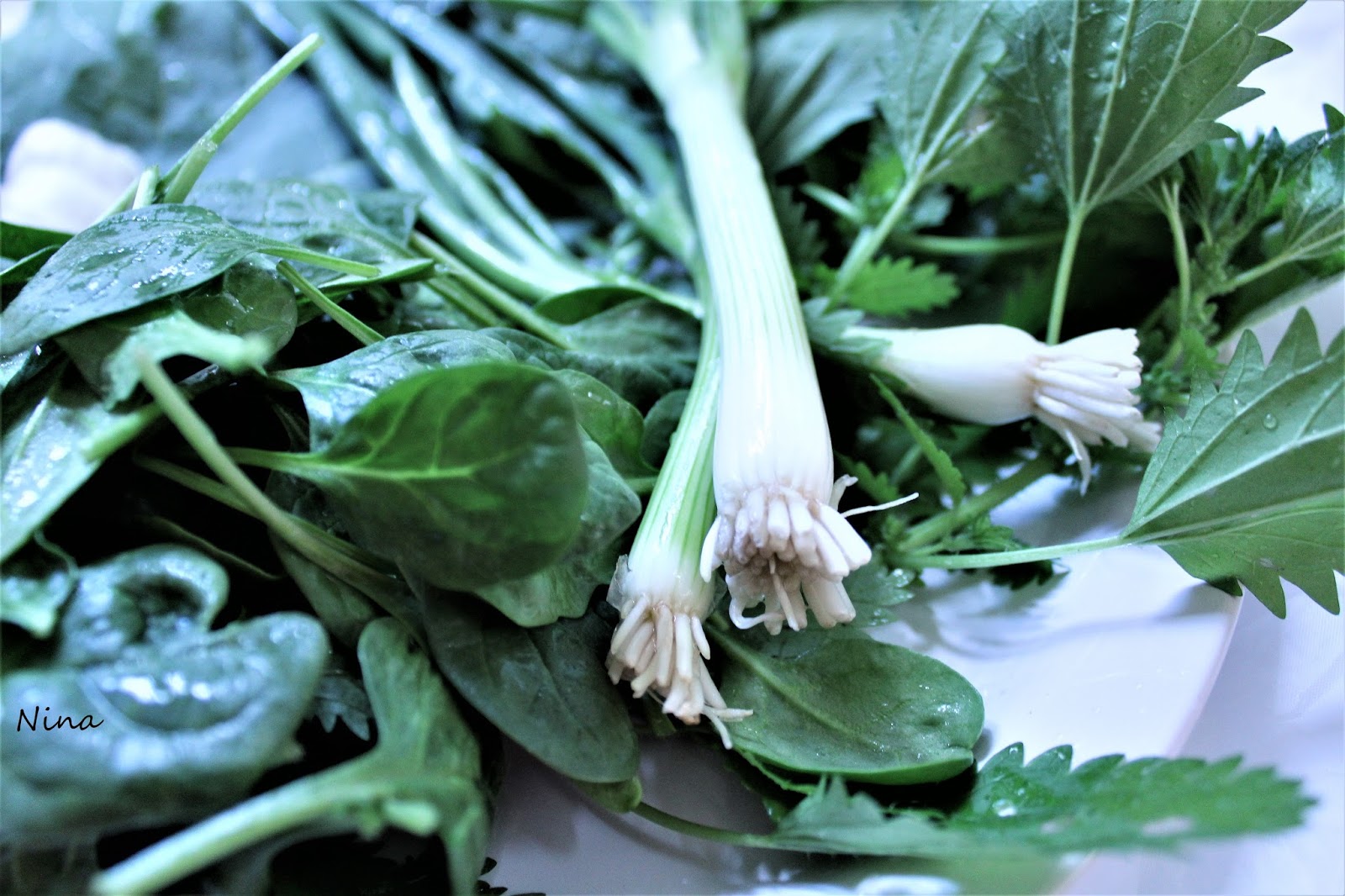 NINA'S RECIPES..... SPRING GREENS GREEN ONION, BABY SPINACH, NEETLE, GARLIC AND "STEVIA