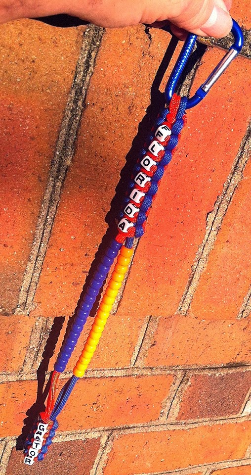 Kevin's XL/Softail & Disc Golf Chronicles November 2013