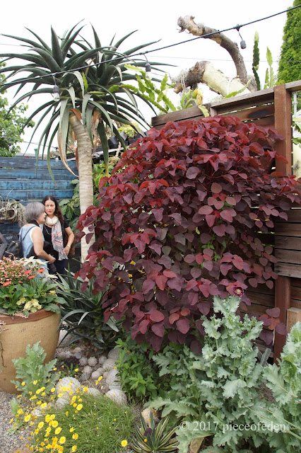 Beautiful California Garden #2