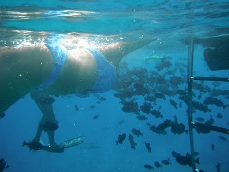 El paraiso si existe y esta en la Polinesia - Blogs de Oceania - El paraiso si existe y esta en la polinesia: Bora Bora (28)