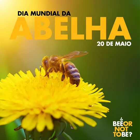 Resultado de imagem para dia mundial da abelha