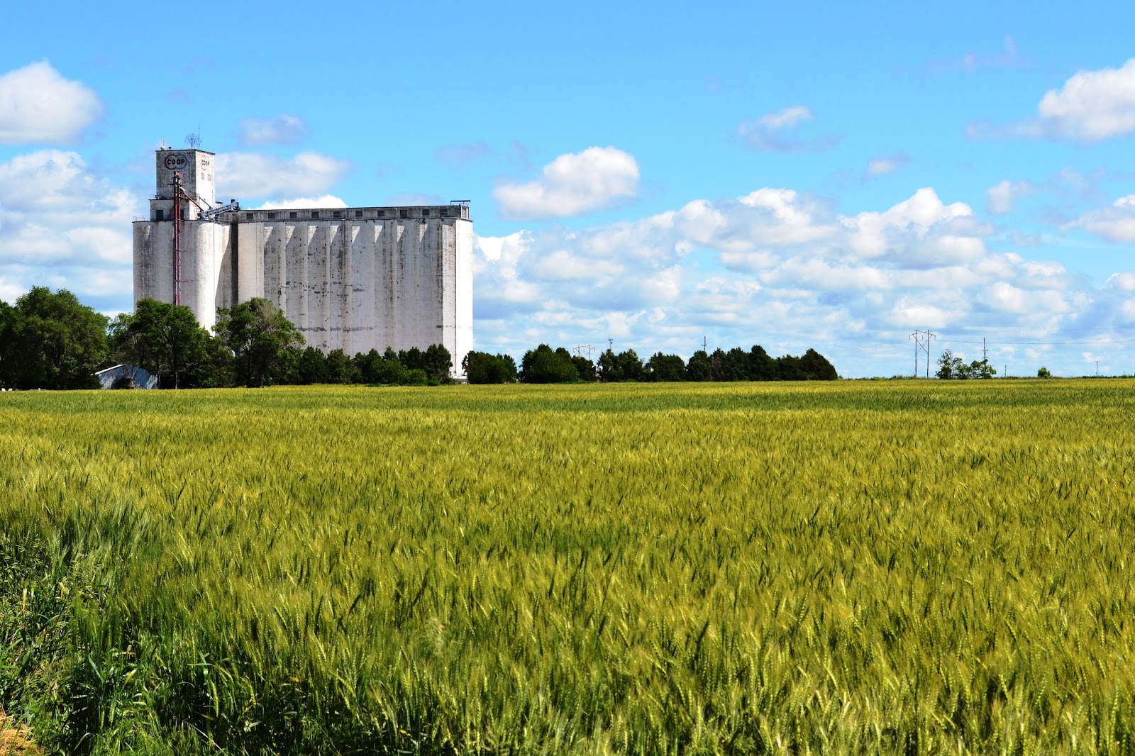 Family Sleuther A Kansas Prairie Cemetery