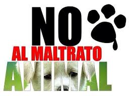 NO al maltrato animal