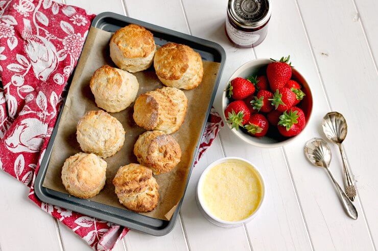 Freshly baked scones with jam and clotted cream