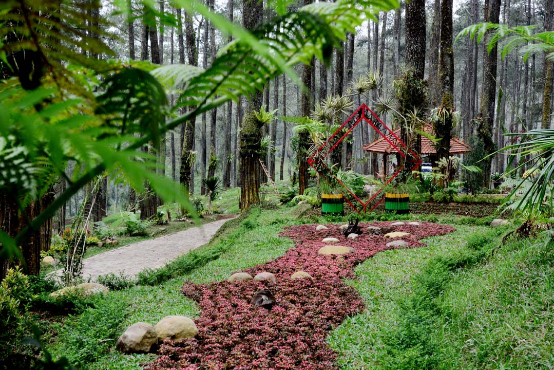 ORCHID FOREST LEMBANG Konsep Ekowisata di Lembang Bandung