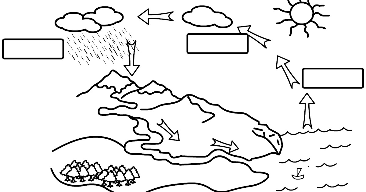Le Cycle De L'eau C'est Pas Sorcier Cycle De L'eau C'est Pas Sorcier : Biblio L Eau
