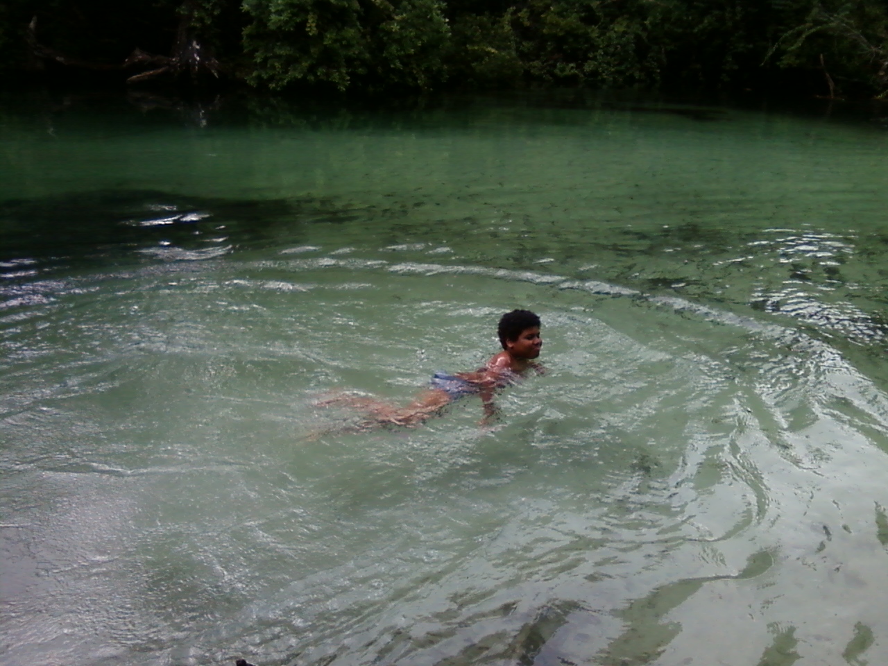 Tween boy swimming with the mantee in Florida