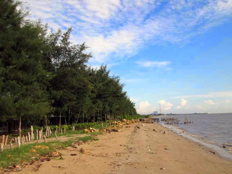 Wisata Pantai Mangrove Tuban