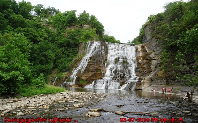 Ithaca Waterfalls Natural Area