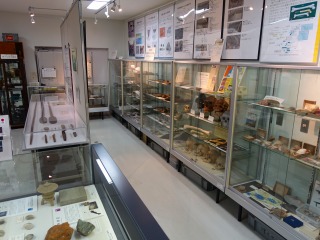 島根大学総合博物館アシカルのブログ