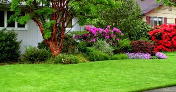 Reubens Lawn Care: How To Find Free Lawn Care Tips