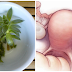 Remove Cyst and Fibroids With The Help Of This Two Ingredients