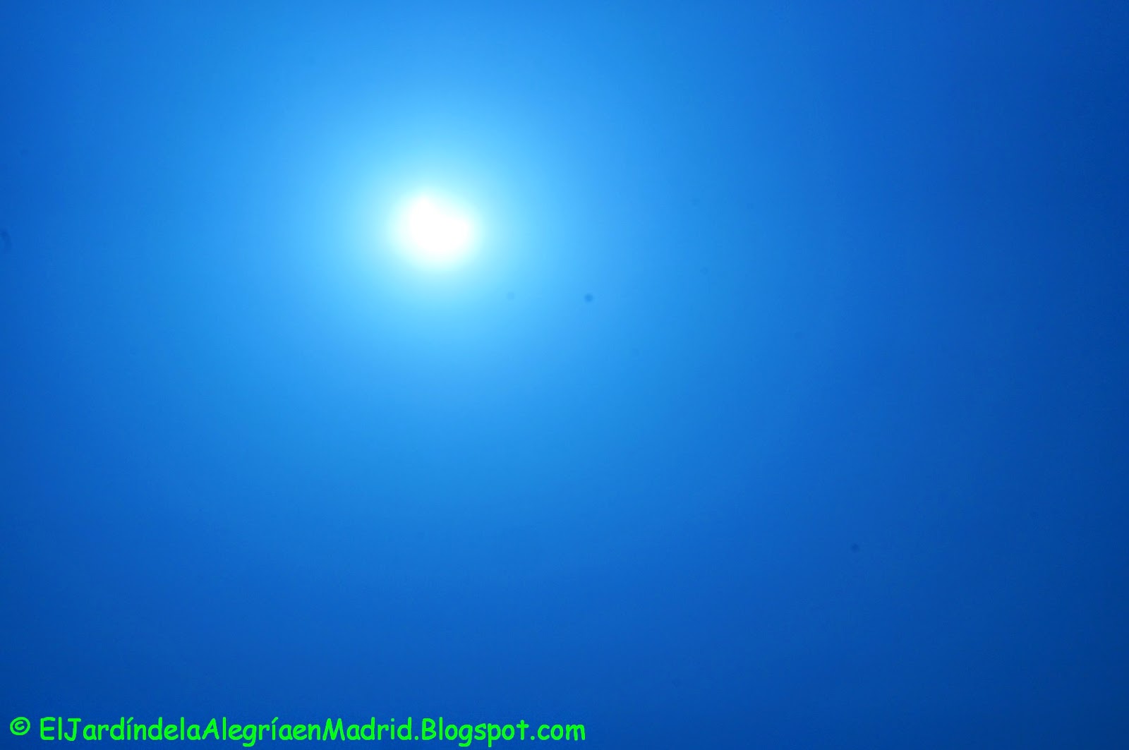 El jardín de la alegría 20 de marzo de 2015 El equinoccio de