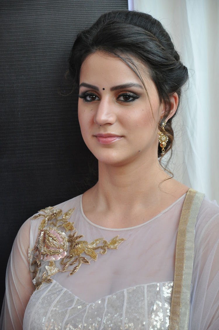 Thikka-Movie-heroine-Larissa-Bonesi-phot