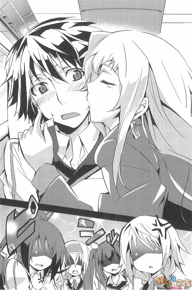 Infinite Stratos, Light Novel, Latest Update, Volume, Not Translation, not ...