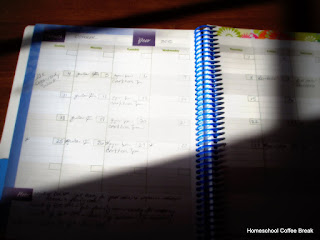 Getting My Homeschool Organized on Homeschool Coffee Break @ kympossibleblog.blogspot.com - Finding out that this is National Get Organized Week forced me to take stock of what needs organizing in our homeschool.