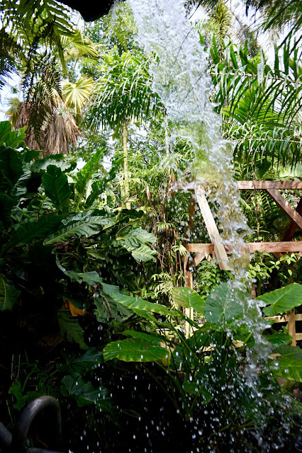 Waterfalls in the Crystal Bridge Conservatory at the Myriad Botanical Gardens in OKC