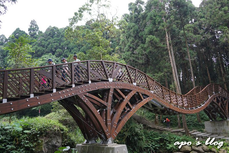 溪頭景點-銀杏橋