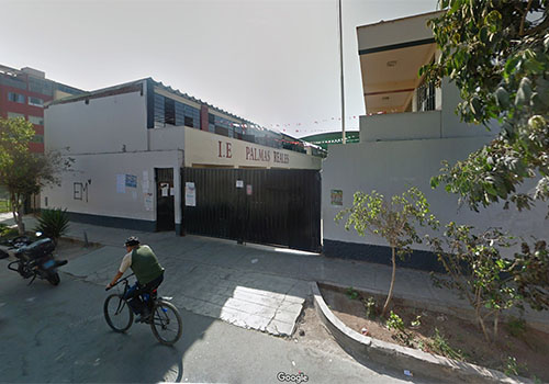 Colegio PALMAS REALES - Los Olivos