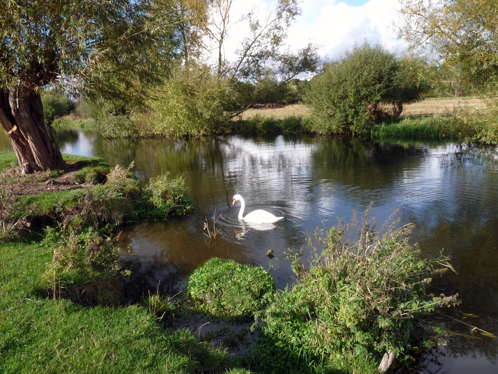 Wild And Wonderful October 2012 wild-and-wonderful-october-2012