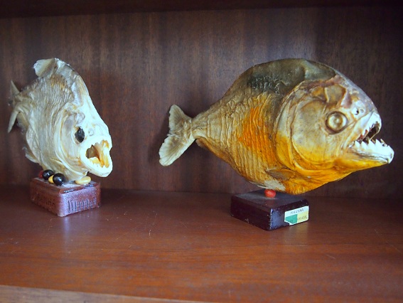 Joseph Steward S Museum Of Natural And Other Curiosities Joseph Steward S Museum Of Natural And Other Curiosities
