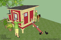 coop chicken plans m300 build x88 x135