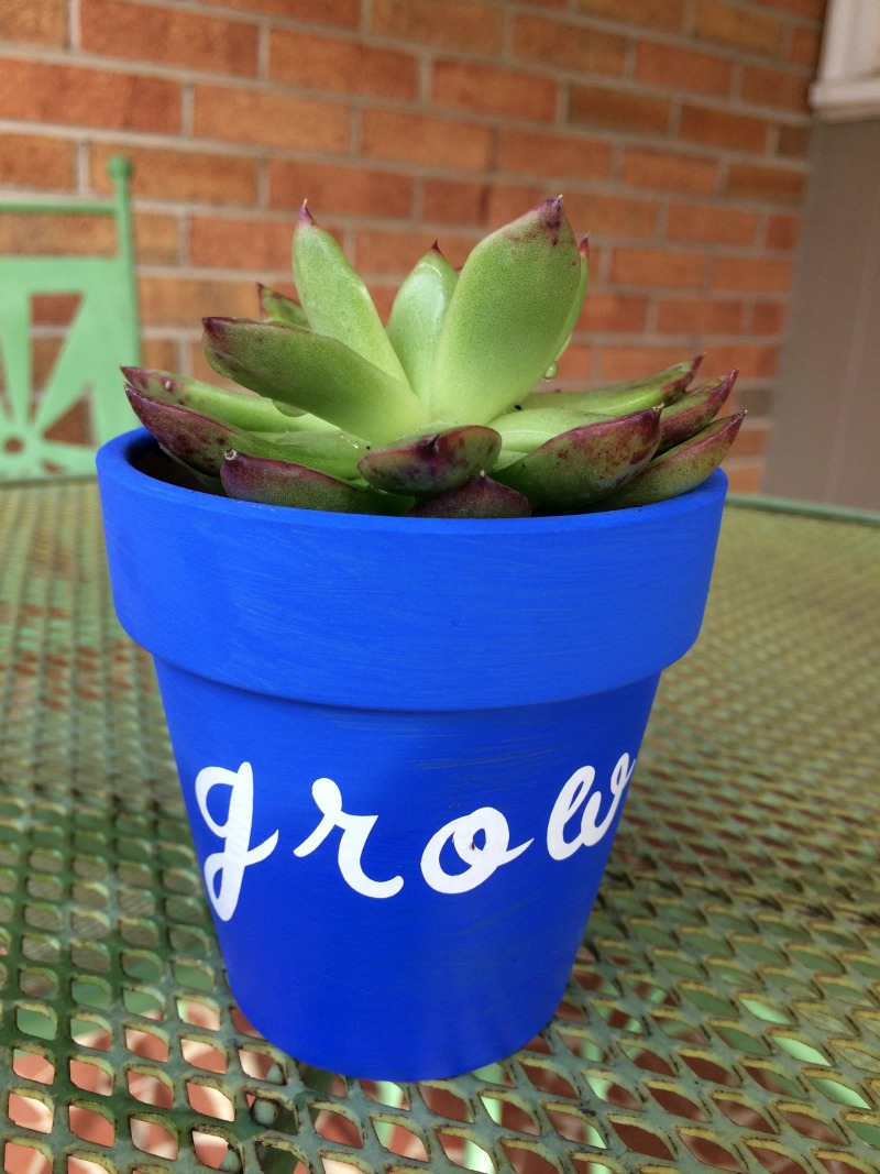 Real Girl's Realm Painted Terra Cotta Pots for Succulents