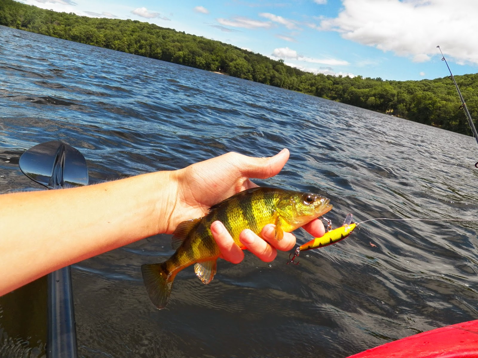 Connecticut Fly Angler Great Hill Pond