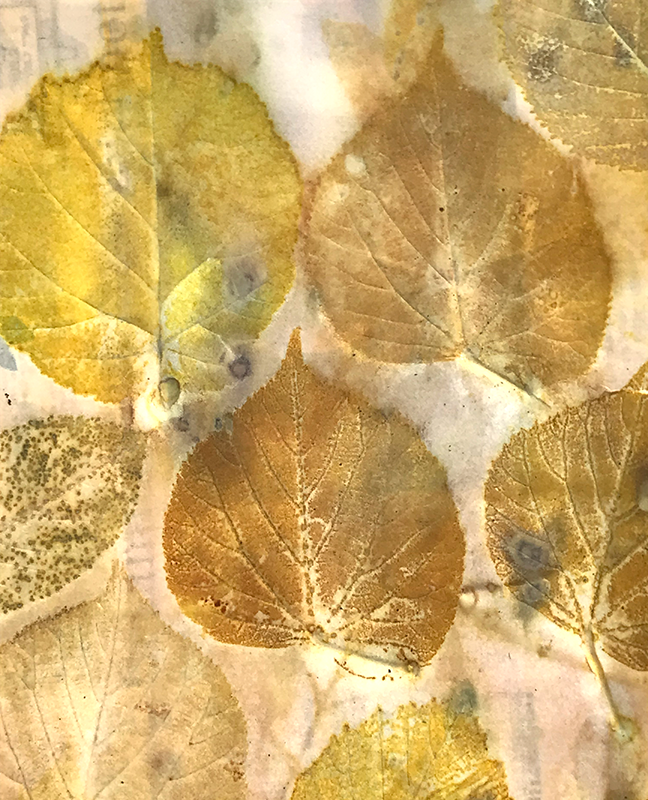 Ecoprint nach ©muellerinart Ecoprint nach ©muellerinart