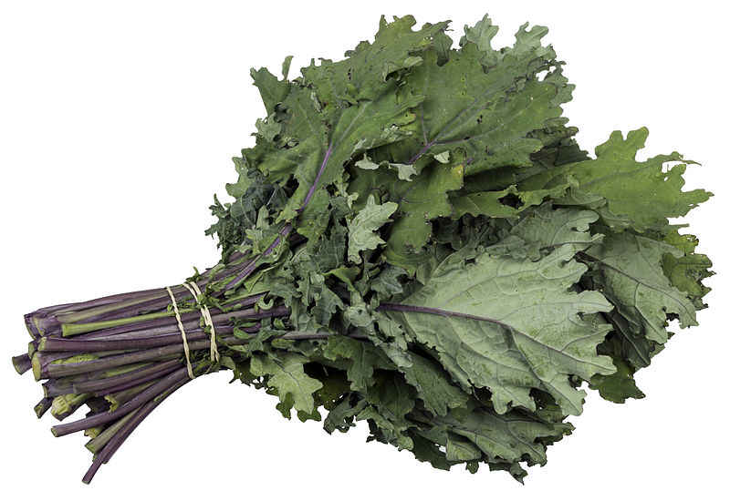 Image result for चौलाई की सब्जी के बारे में जानकारी